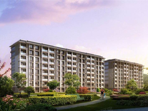 浙江省杭州市臨安區(qū)鳳凰府邸